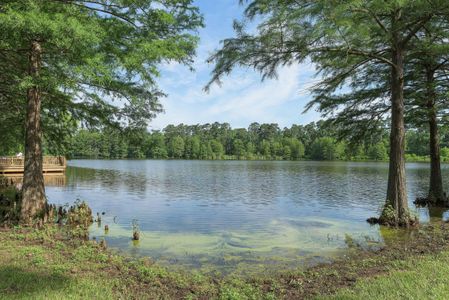 Grand Central Park – 50' by Westin Homes in Conroe - photo 15 15