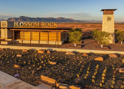 Blossom Rock by Tri Pointe Homes in Apache Junction - image 11