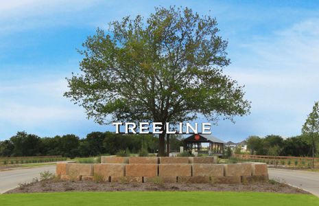 Treeline by Pulte Homes in Justin - image 11