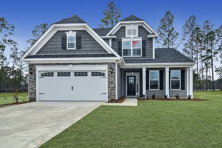 Daniel Farms by Eastwood Homes in Benson - photo 6 6