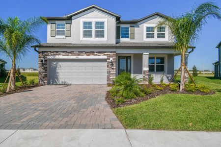 Berry Bay by M/I Homes in Wimauma - photo 27 27