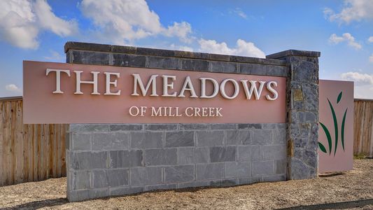 Meadows of Mill Creek 60' by Perry Homes in Seguin - photo 1 1