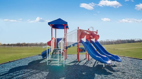 Lisenbee Fields: Cambridge 5