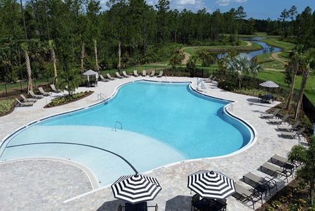 Seminole Palms Single-Family Homes by Ryan Homes in Palm Coast - image 11