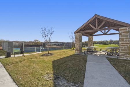 Providence Cove by Windsor Homes in McKinney - image 11