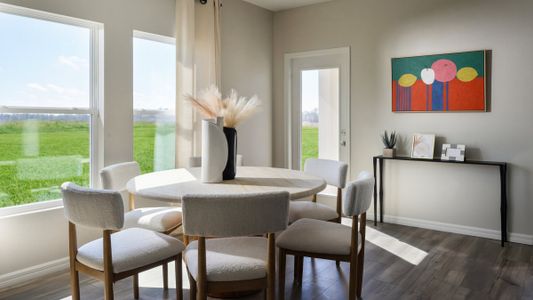 Pasadena Ridge by Casa Fresca Homes in Zephyrhills - image 7