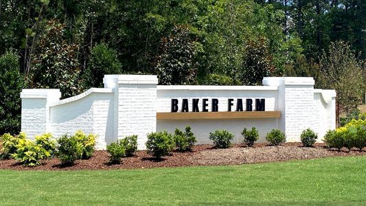 Baker Farm by D.R. Horton in Youngsville - photo 0 0