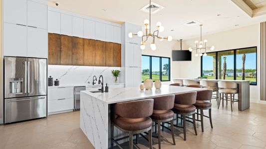 Esplanade at Azario Lakewood Ranch by Taylor Morrison in Lakewood Ranch - image 8