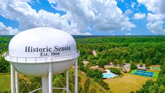 Heritage Pointe by D.R. Horton in Senoia - photo 0