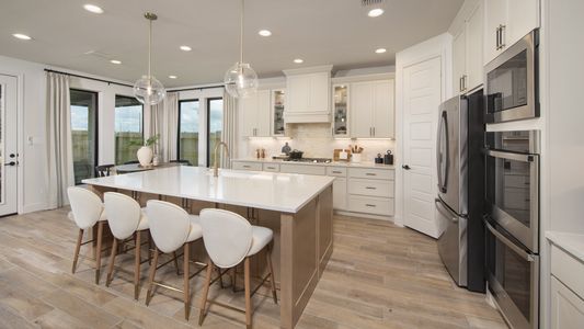 Legacy Prairie at Katy Court 65' 9