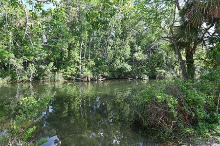 Pinecone Reserve by William Ryan Homes in Brooksville - photo 8 8