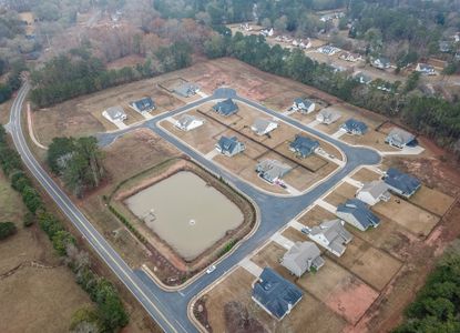 Standing Oaks by Trademark Quality Homes in Senoia - image