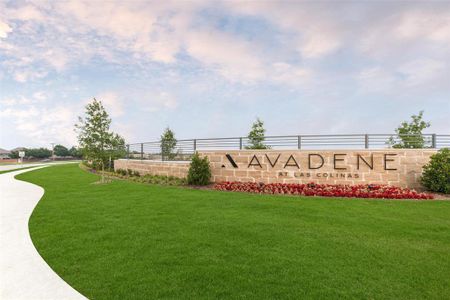 Avadene at Las Colinas by Alexander Hunt Distinct Homes in Irving - photo 0