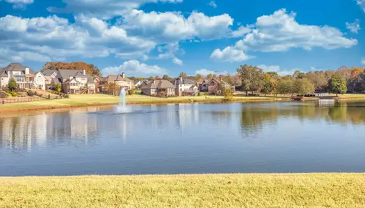 Traditions of Braselton by Stephen Elliott Homes in Jefferson - image 12