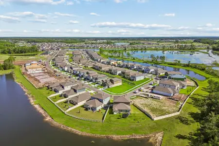 Connerton by M/I Homes in Land O' Lakes - image