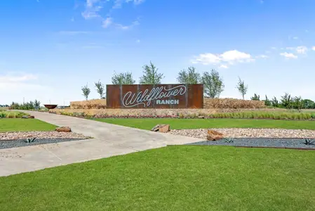 Wildflower Ranch 60-65 by Bloomfield Homes in Justin - photo 5 5