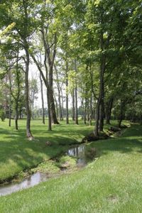 Kings' Chapel by Drees Custom Homes in Arrington - image 12