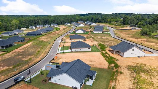 Old Mill Preserve by David Weekley Homes in Dallas - image