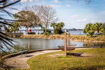 Sorrento & Mount Dora by Maronda Homes in Mount Dora - photo 13 13