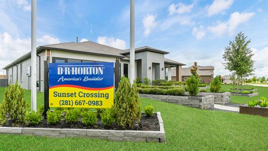 Sunset Crossing by D.R. Horton in Rosenberg - photo 7 7