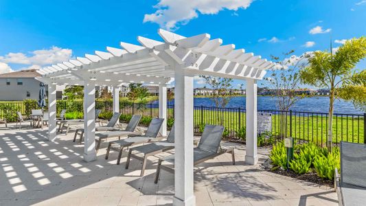 Mangrove Point by D.R. Horton in Apollo Beach - photo 5 5