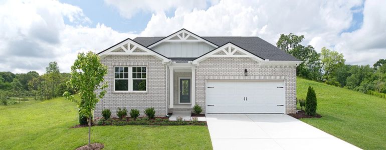 Cane Ridge Single-Family - image
