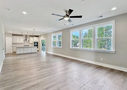 Maple Street Village by Hunter Quinn Homes in Hanahan - photo 11 11