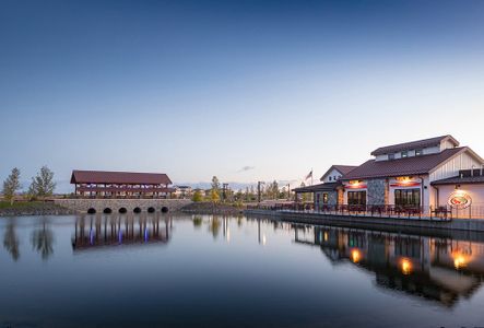 Acadia at RainDance by Trumark Homes in Windsor - image 3