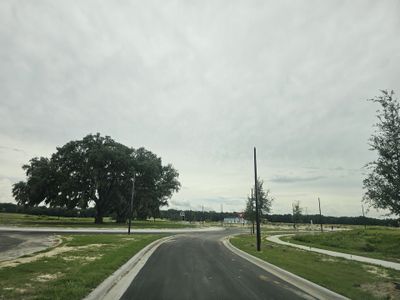 Hammock Oaks Townhomes by Ryan Homes in Lady Lake - photo 18 18