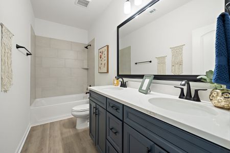 Emberly 55 by DSLD Homes in Beasley - image 16