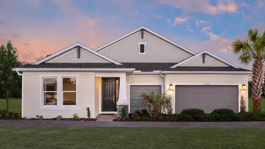 Ardisia Park by Taylor Morrison in New Smyrna Beach - image