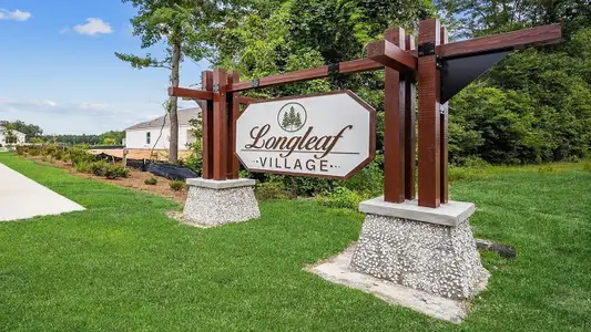 Longleaf Village by D.R. Horton in Rincon - image