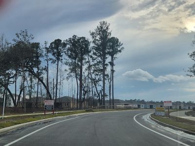 Tributary: Tributary Classic Collection by Lennar in Yulee - photo 24 24