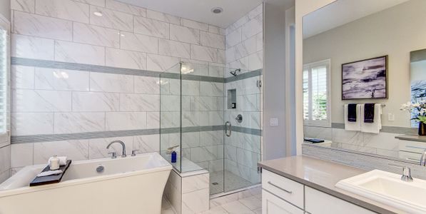 Tranquility at Eastmark by Woodside Homes in Mesa - photo 18 18