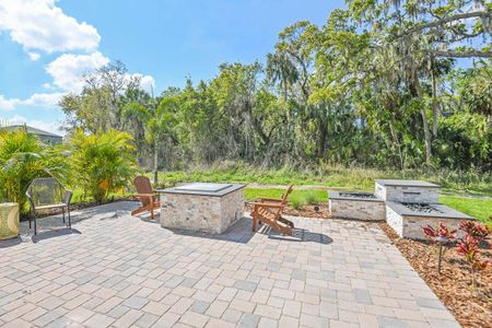 Tea Olive Terrace at the Fairways by William Ryan Homes in Palmetto - photo 11 11