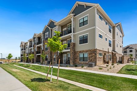 The Lakes at Centerra - North Shore Flats 24