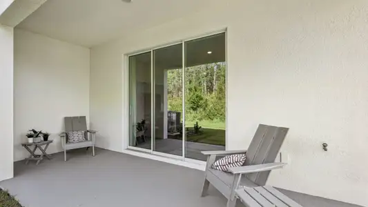Meadow Ridge at Epperson by D.R. Horton in Wesley Chapel - image 5