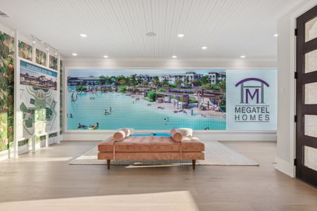 AnaCapri by Megatel Homes in Anna - photo 59 59