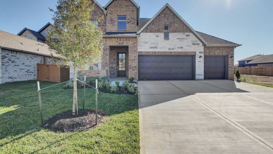 Canterra Creek by Tricoast Homes in Rosharon - photo 4 4