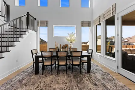 Blackhawk 60' by Coventry Homes in Pflugerville - image 7