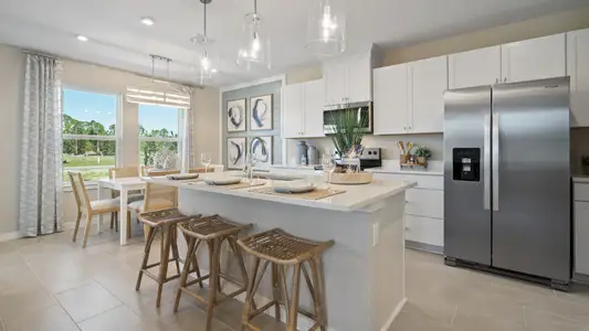 Ardisia Park by DRB Homes in New Smyrna Beach - image