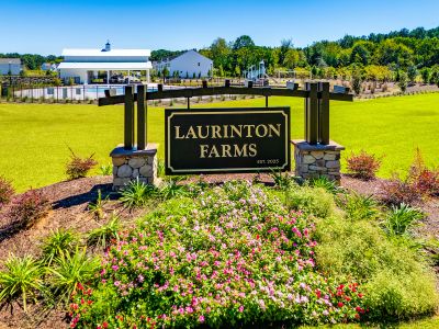 Laurinton Farms by Mungo Homes in Hopkins - image