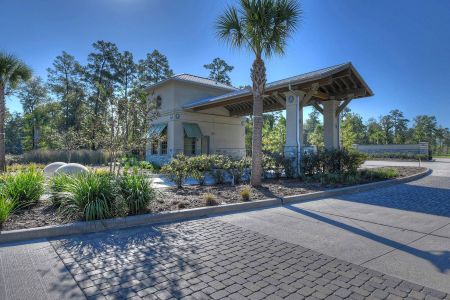 Harper's Preserve by M/I Homes in Shenandoah - photo 12 12