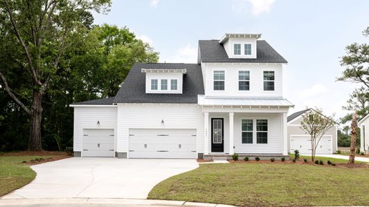 Bayview Acres by DRB Homes in Mount Pleasant - image