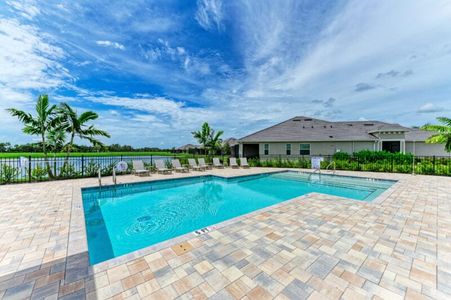 The Laurels by Medallion Home in Parrish - image 19