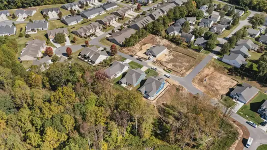 Salem Brooke by Epcon Communities in Clemmons - image