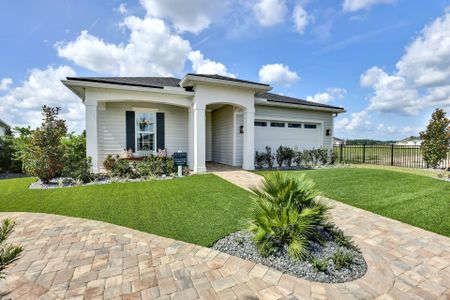 Reverie at Silverleaf by Dream Finders Homes in St. Augustine - photo 5 5