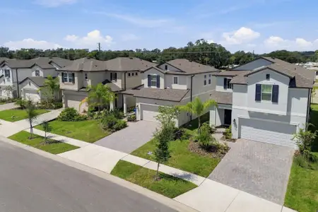 Cobblestone by M/I Homes in Zephyrhills - image 6