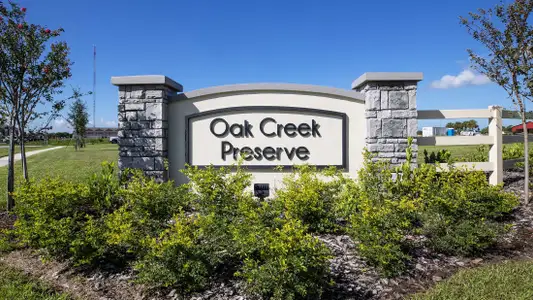 Oak Creek Preserve by Maronda Homes in Lakeland - image