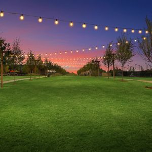 Windsong Ranch by Tradition Homes in Prosper - image 19